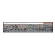 APOLLON ET LES MUSES 37X125cm 1/15