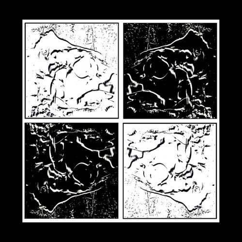 VÉNUS THE FOUR WHITE ON BLACK