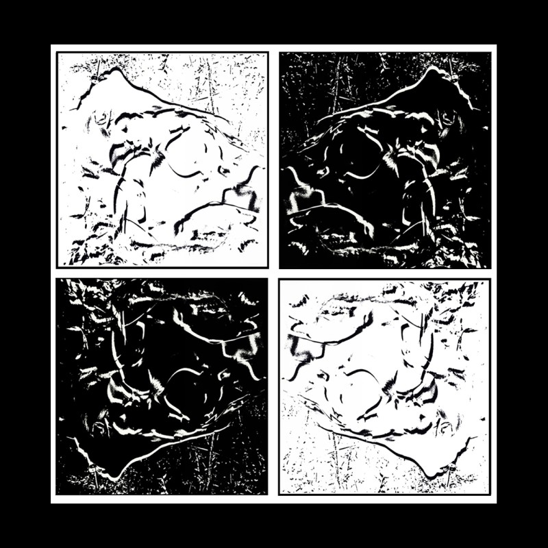 VÉNUS THE FOUR WHITE ON BLACK