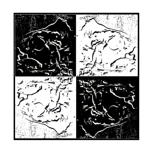 VÉNUS THE FOUR BLACK ON WHITE