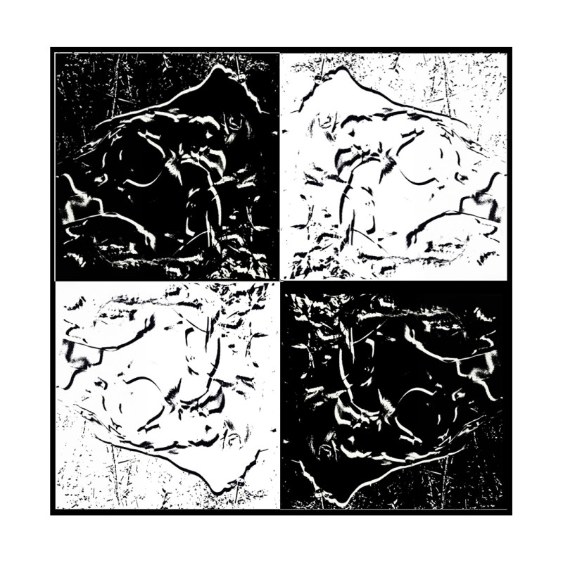 VÉNUS THE FOUR BLACK ON WHITE