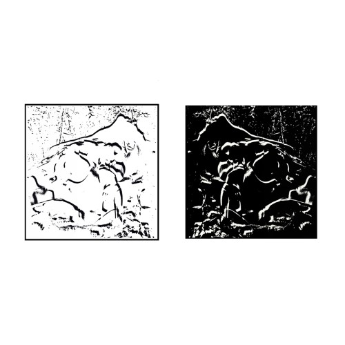 VENUS NOIRE, VENUS BLANCHE DIPTYQUE