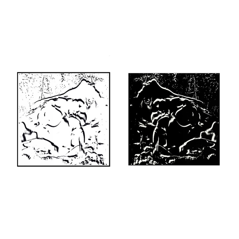 VENUS NOIRE, VENUS BLANCHE DIPTYQUE