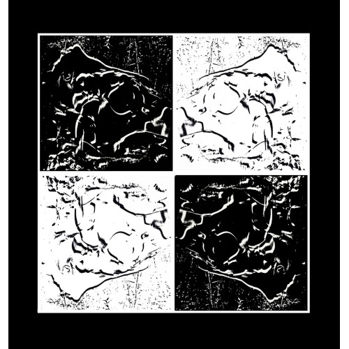 VÉNUS the Four- BLACK ON WHITE au Phallus