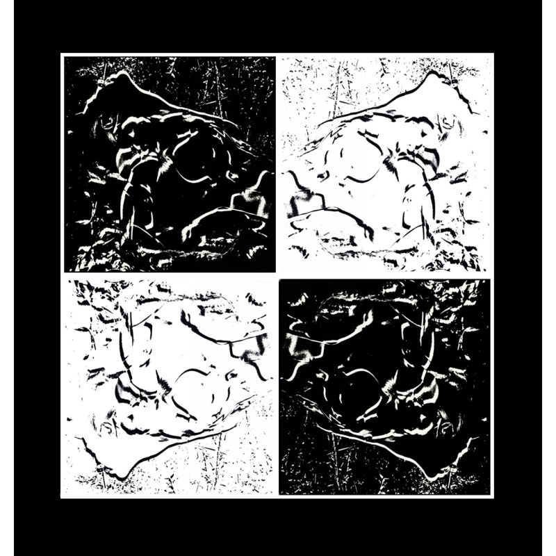 VÉNUS the Four- BLACK ON WHITE au Phallus