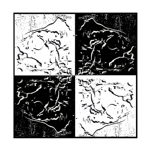 VÉNUS THE FOUR WHITE ON BALCK, REVERSAL