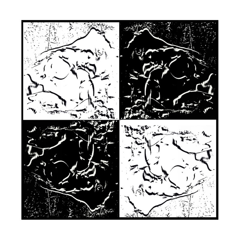 VÉNUS THE FOUR BLACK ON WHITE