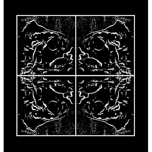 VÉNUS the Four- BLACK