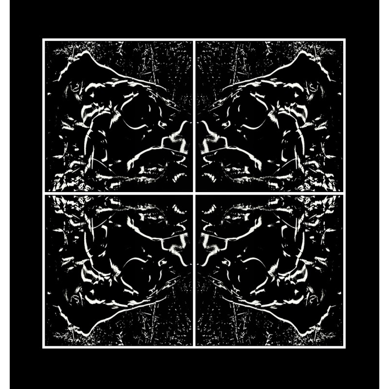 VÉNUS the Four- BLACK