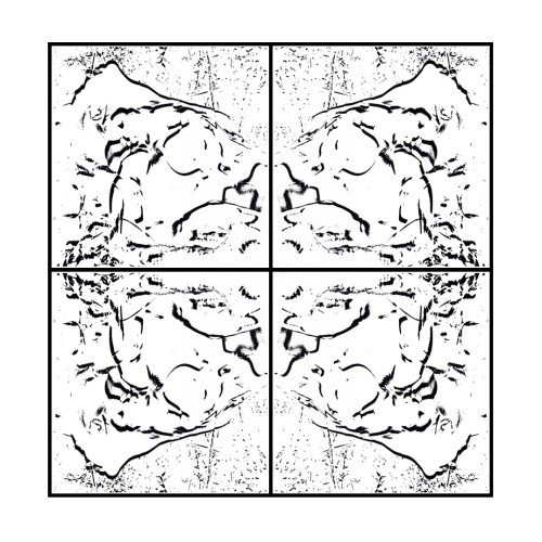 VÉNUS the Four- WHITE