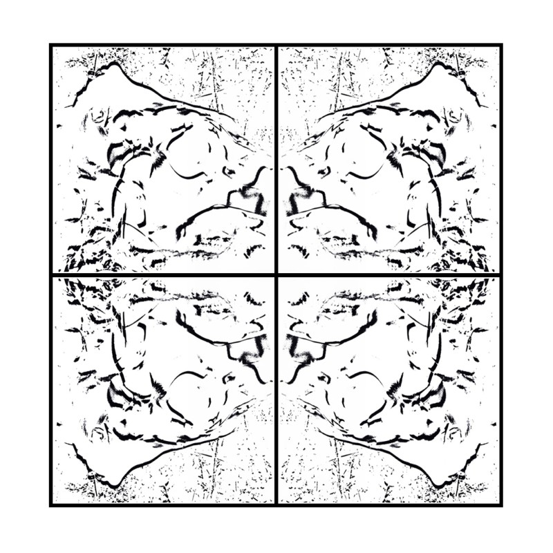 VÉNUS the Four- WHITE