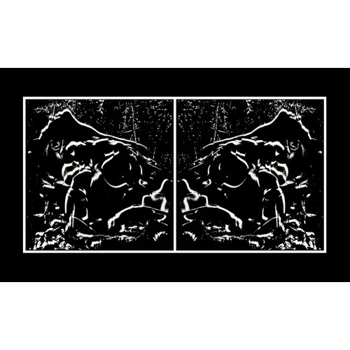 VENUS NOIRE,  DIPTYQUE