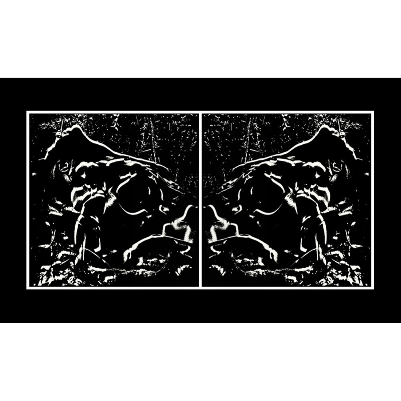 VENUS NOIRE,  DIPTYQUE