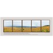 Ensemble de 5 Tirages 175X650 cm
