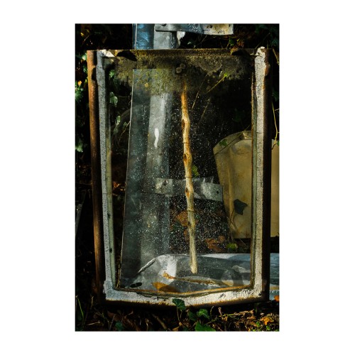 Verres au jardin avec flute