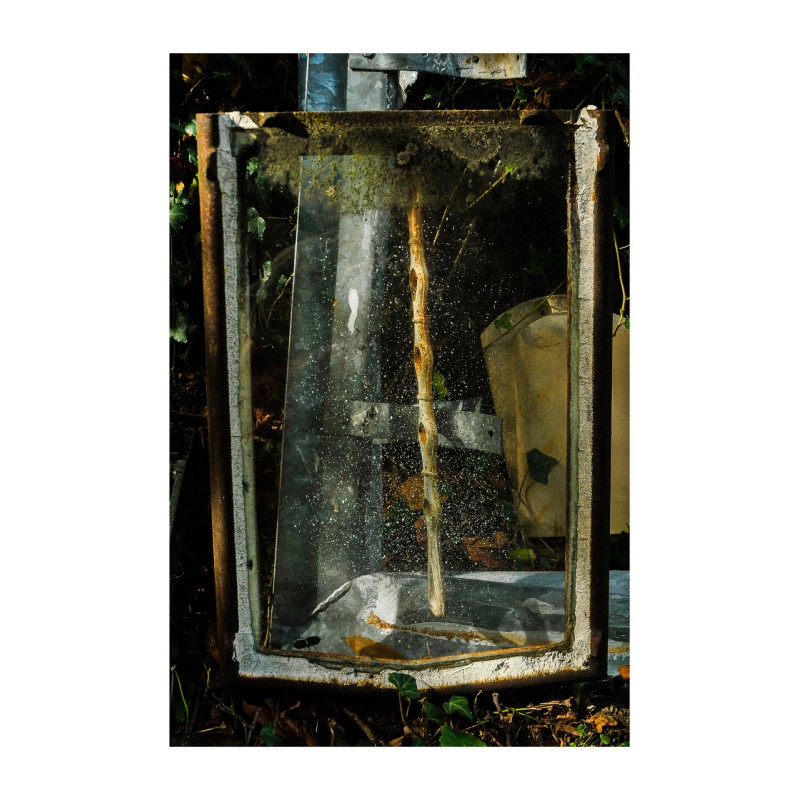 Verres au jardin avec flute